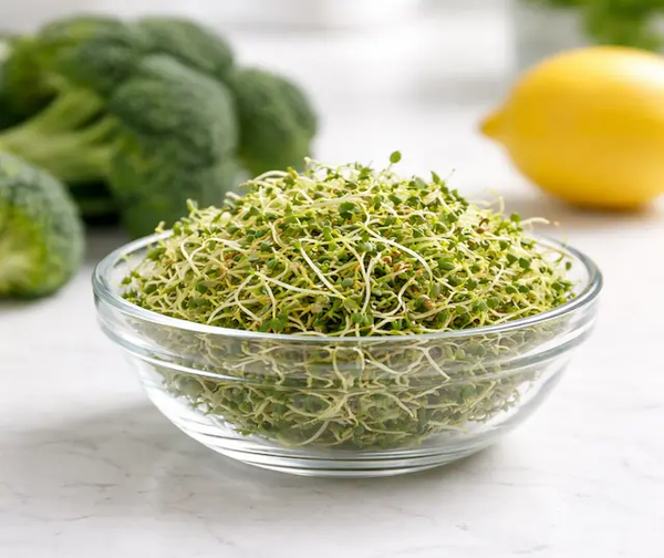 Broccoli Sprout Extract