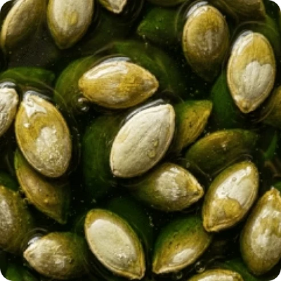 Pumpkin Seed Oil
